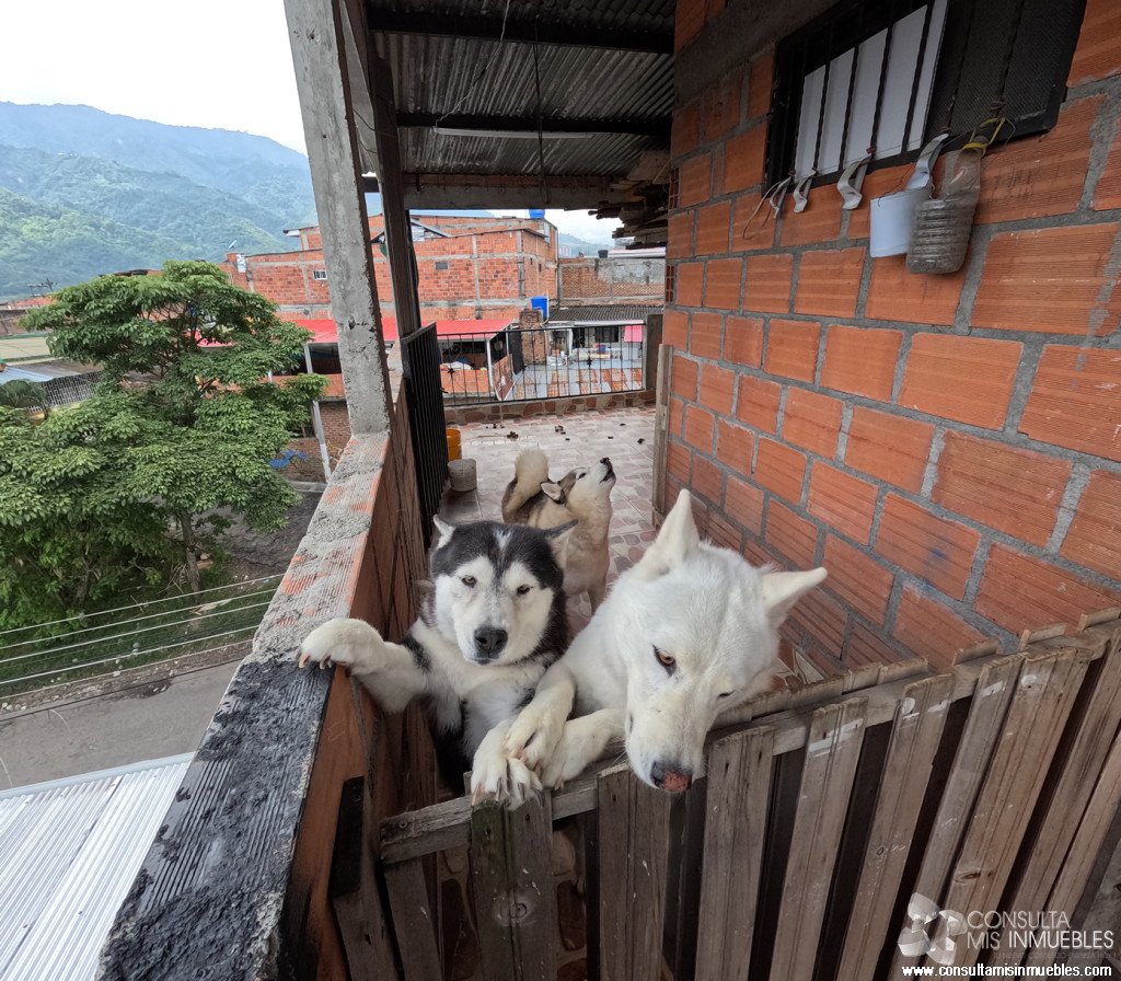 Vendo Casa en el Barrio  en Ibagué, Tolima de Colombia | Consulta Mis Inmuebles S.A.S. | Tu nuevo comienzo empieza hoy!