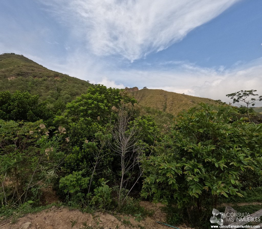 Vendo Finca en el Barrio  en Alvarado, Tolima de Colombia | Consulta Mis Inmuebles S.A.S. | Tu nuevo comienzo empieza hoy!