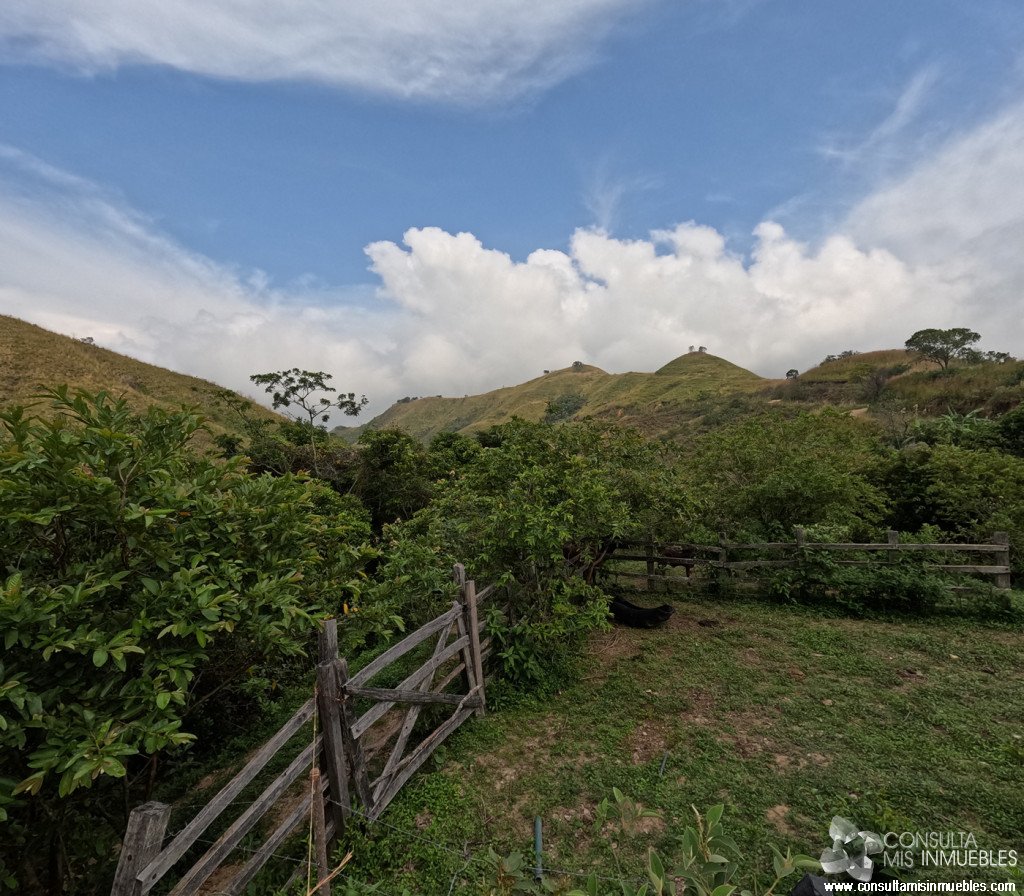 Vendo Finca en el Barrio  en Alvarado, Tolima de Colombia | Consulta Mis Inmuebles S.A.S. | Tu nuevo comienzo empieza hoy!