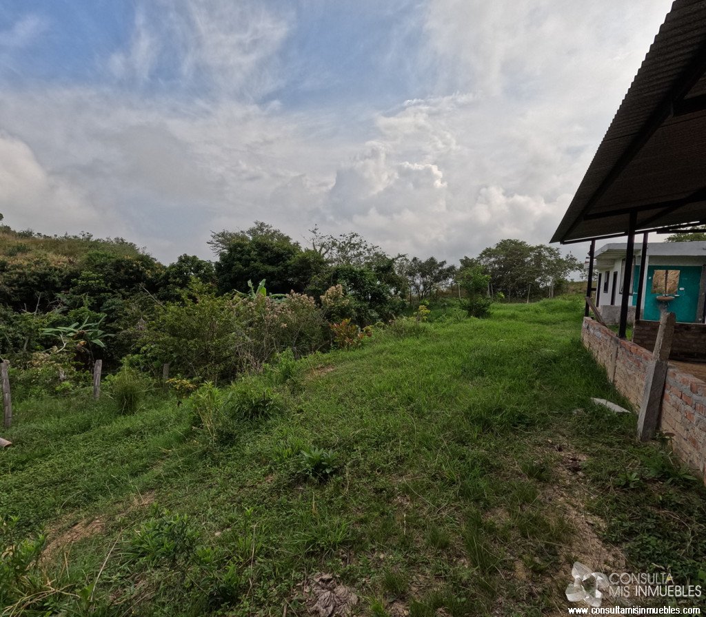 Vendo Finca en el Barrio  en Alvarado, Tolima de Colombia | Consulta Mis Inmuebles S.A.S. | Tu nuevo comienzo empieza hoy!