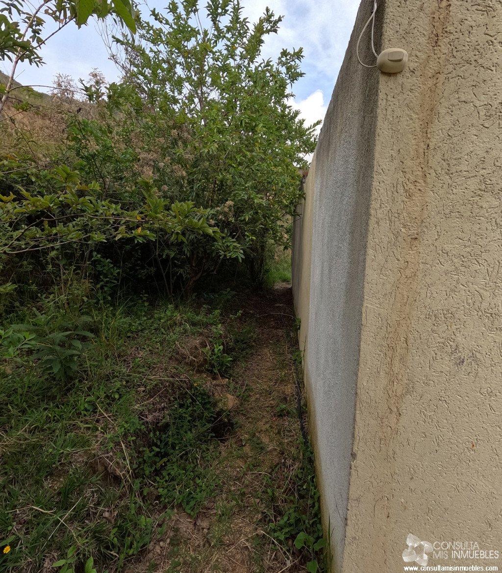 Vendo Finca en el Barrio  en Alvarado, Tolima de Colombia | Consulta Mis Inmuebles S.A.S. | Tu nuevo comienzo empieza hoy!