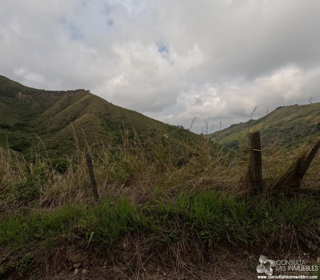 Vendo Finca en el Barrio  en Alvarado, Tolima de Colombia | Consulta Mis Inmuebles S.A.S. | Tu nuevo comienzo empieza hoy!