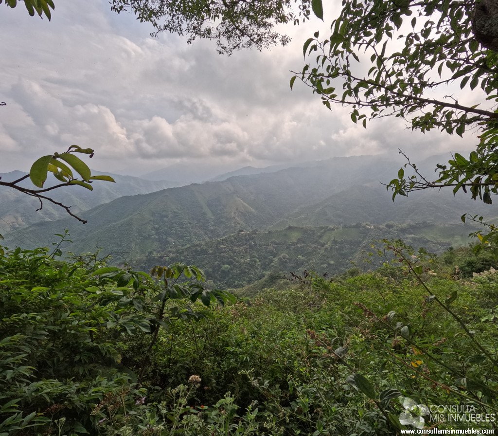 Vendo Finca en el Barrio  en Alvarado, Tolima de Colombia | Consulta Mis Inmuebles S.A.S. | Tu nuevo comienzo empieza hoy!
