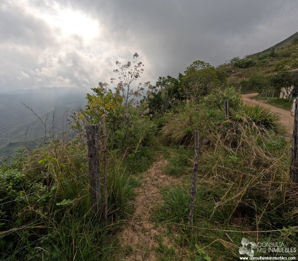 Vendo Finca en el Barrio  en Alvarado, Tolima de Colombia | Consulta Mis Inmuebles S.A.S. | Tu nuevo comienzo empieza hoy!