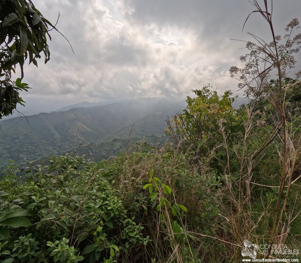 Vendo Finca en el Barrio  en Alvarado, Tolima de Colombia | Consulta Mis Inmuebles S.A.S. | Tu nuevo comienzo empieza hoy!