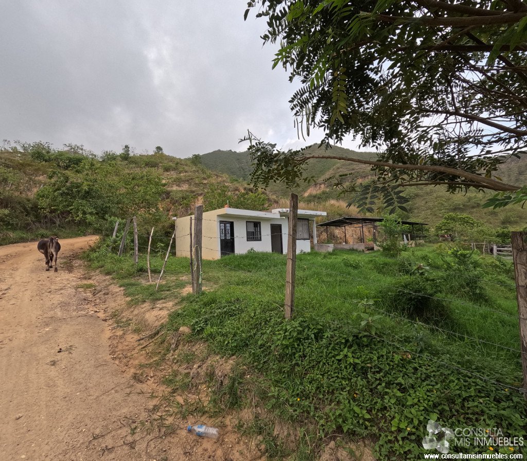 Vendo Finca en el Barrio  en Alvarado, Tolima de Colombia | Consulta Mis Inmuebles S.A.S. | Tu nuevo comienzo empieza hoy!