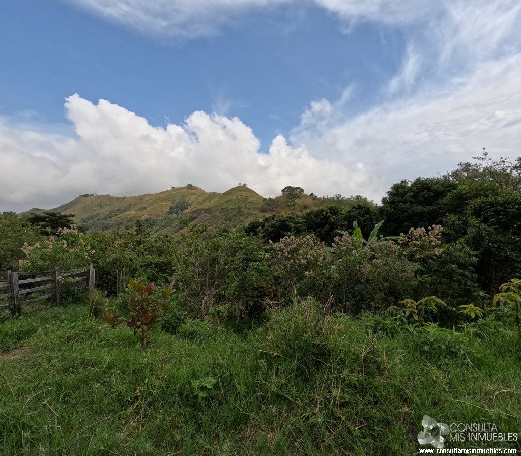 Vendo Finca en el Barrio  en Alvarado, Tolima de Colombia | Consulta Mis Inmuebles S.A.S. | Tu nuevo comienzo empieza hoy!
