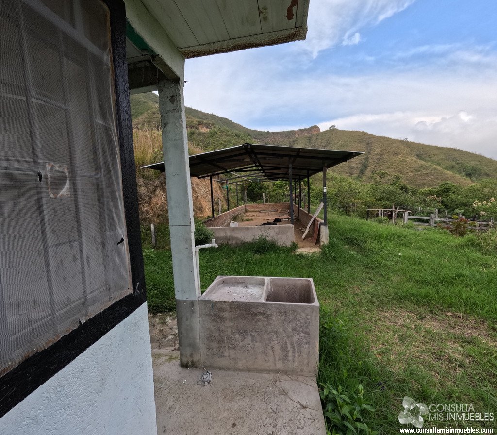 Vendo Finca en el Barrio  en Alvarado, Tolima de Colombia | Consulta Mis Inmuebles S.A.S. | Tu nuevo comienzo empieza hoy!
