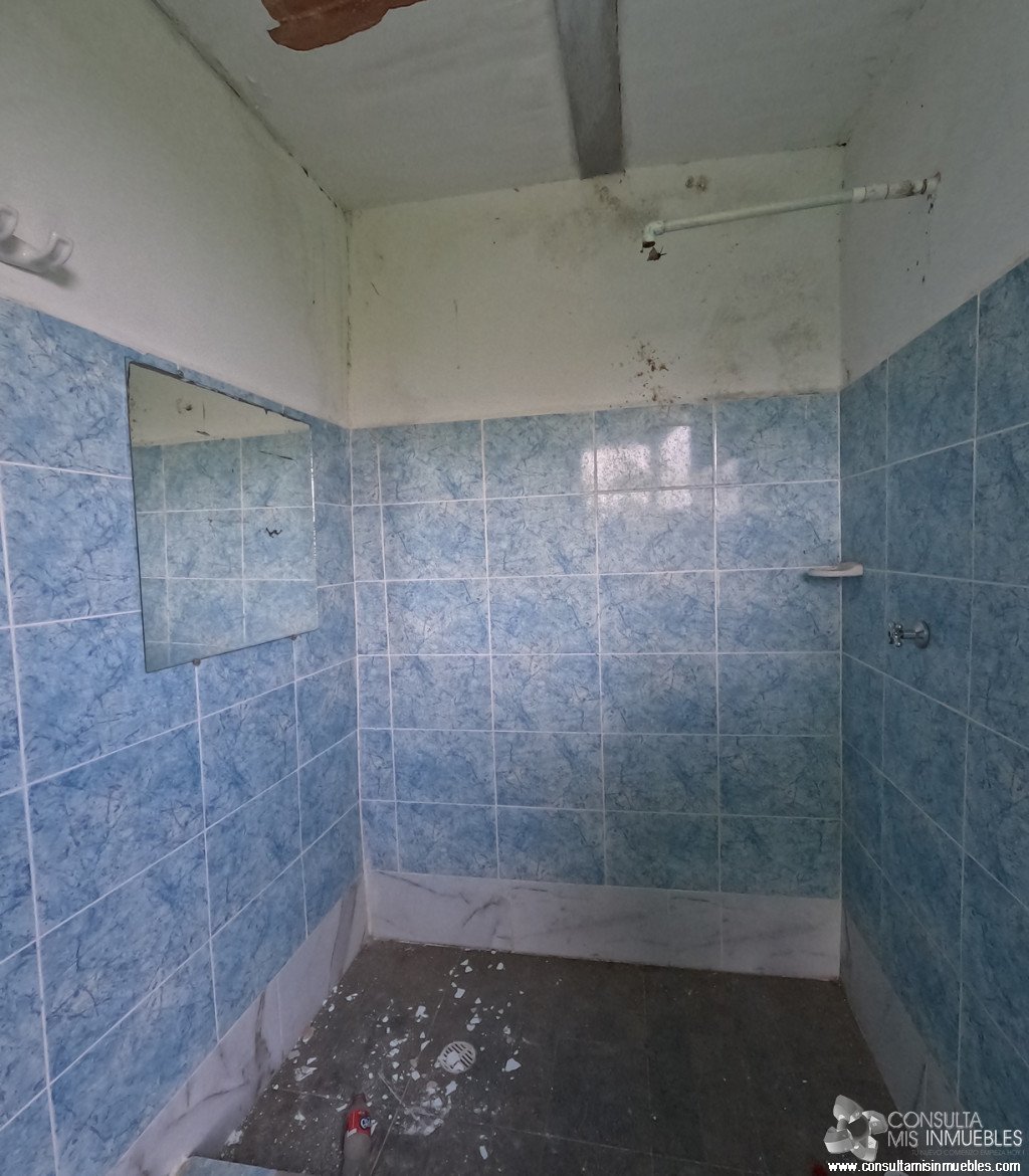 Vendo Finca en el Barrio  en Alvarado, Tolima de Colombia | Consulta Mis Inmuebles S.A.S. | Tu nuevo comienzo empieza hoy!