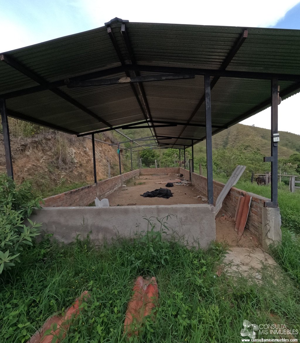 Vendo Finca en el Barrio  en Alvarado, Tolima de Colombia | Consulta Mis Inmuebles S.A.S. | Tu nuevo comienzo empieza hoy!