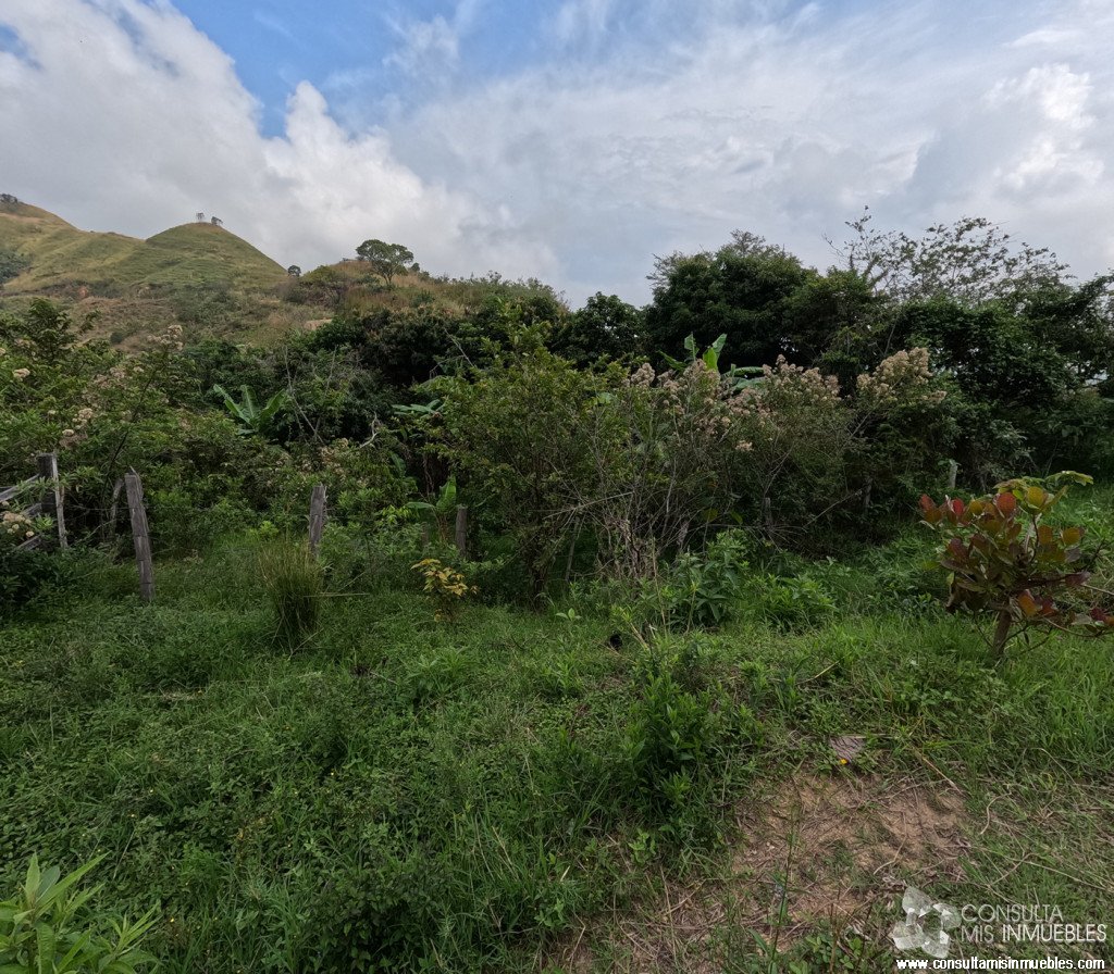 Vendo Finca en el Barrio  en Alvarado, Tolima de Colombia | Consulta Mis Inmuebles S.A.S. | Tu nuevo comienzo empieza hoy!