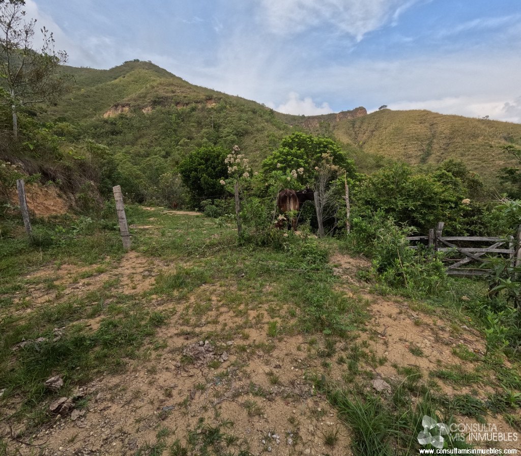 Vendo Finca en el Barrio  en Alvarado, Tolima de Colombia | Consulta Mis Inmuebles S.A.S. | Tu nuevo comienzo empieza hoy!
