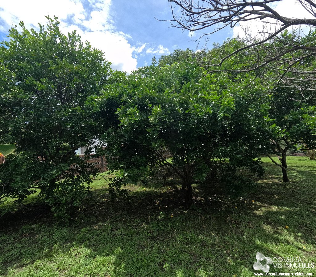 Vendo Lote en el Barrio  en Melgar, Tolima de Colombia | Consulta Mis Inmuebles S.A.S. | Tu nuevo comienzo empieza hoy!