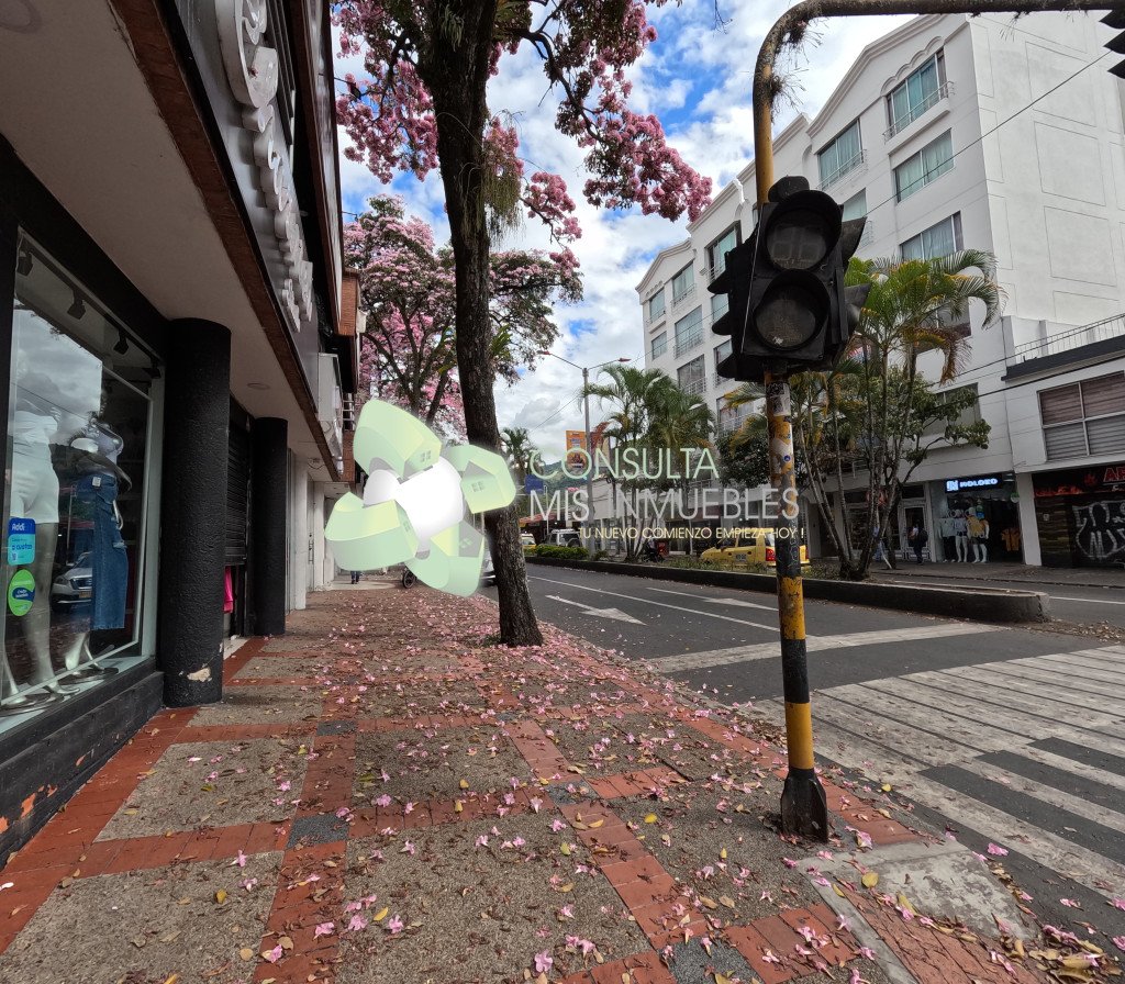📍 Excelente Vitrina Comercial: Local en 2do Piso sobre la Calle 11 (Centro, Ibagué) | Consulta Mis Inmuebles S.A.S. | Tu nuevo comienzo empieza hoy!