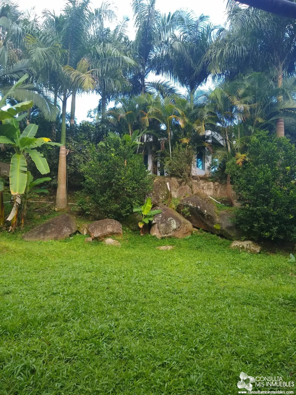 En Venta Casa Quinta en Melgar, Tolima (Vereda Guacamayas) | Consulta Mis Inmuebles S.A.S. | Tu nuevo comienzo empieza hoy!