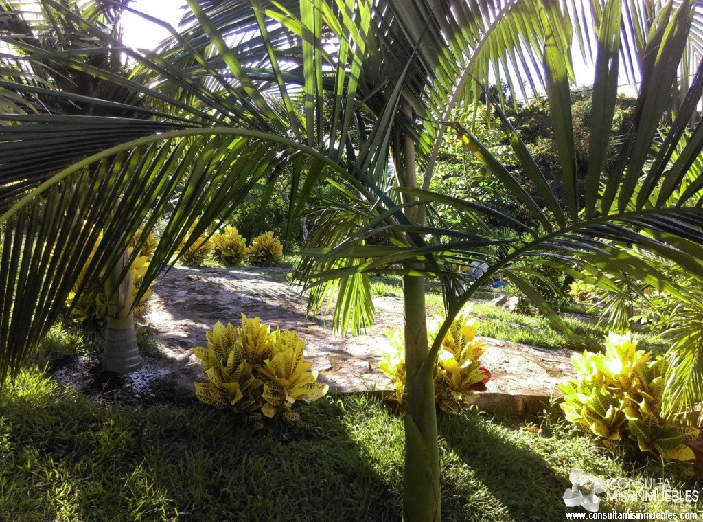 En Venta Casa Quinta en Melgar, Tolima (Vereda Guacamayas) | Consulta Mis Inmuebles S.A.S. | Tu nuevo comienzo empieza hoy!