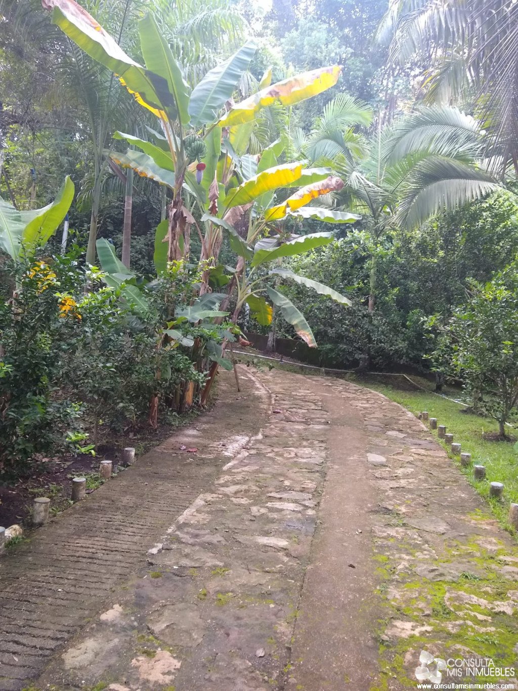 En Venta Casa Quinta en Melgar, Tolima (Vereda Guacamayas) | Consulta Mis Inmuebles S.A.S. | Tu nuevo comienzo empieza hoy!