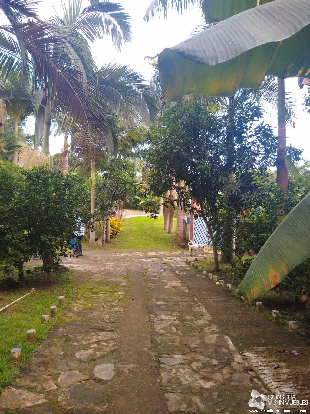 En Venta Casa Quinta en Melgar, Tolima (Vereda Guacamayas) | Consulta Mis Inmuebles S.A.S. | Tu nuevo comienzo empieza hoy!