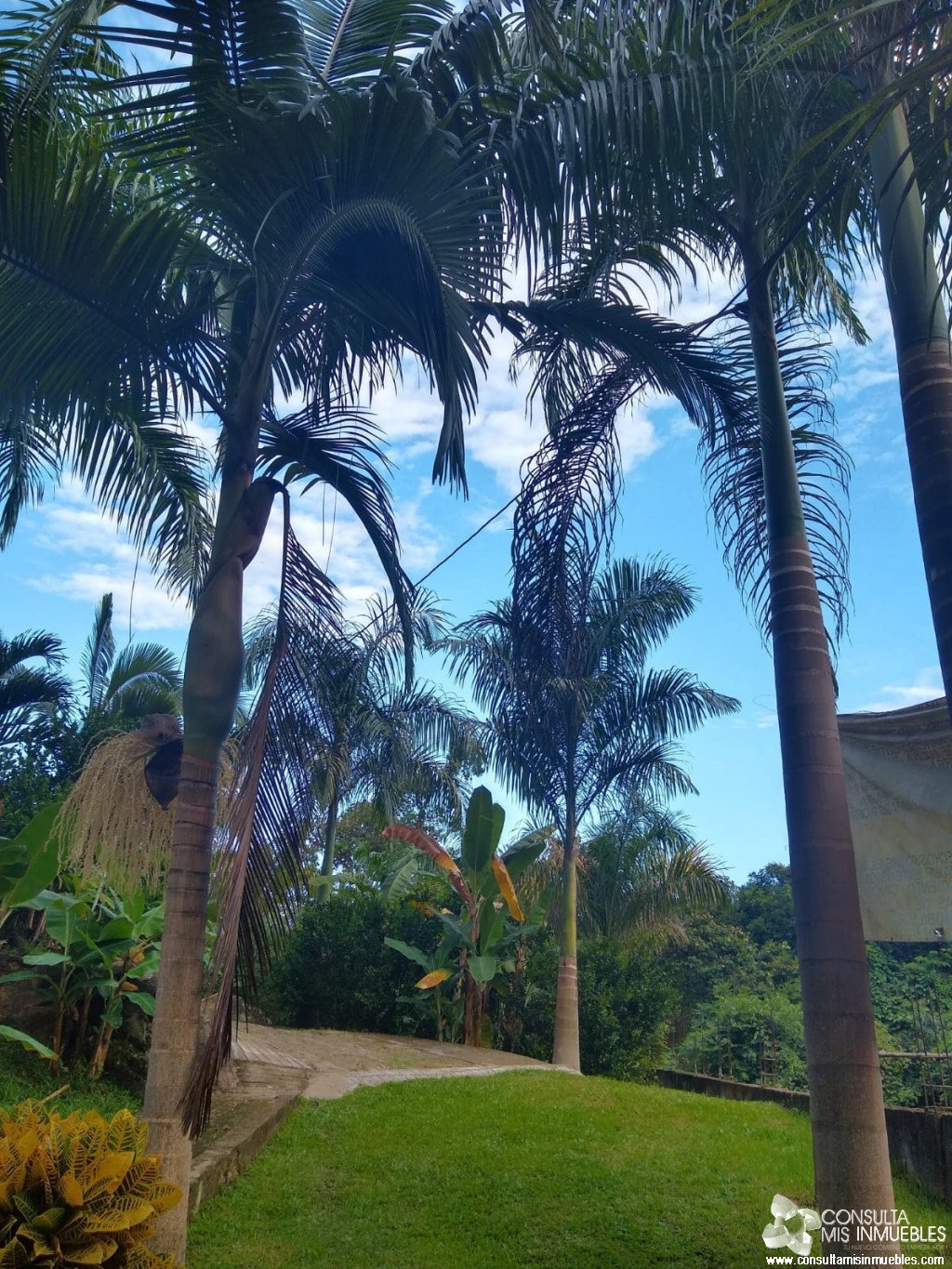 En Venta Casa Quinta en Melgar, Tolima (Vereda Guacamayas) | Consulta Mis Inmuebles S.A.S. | Tu nuevo comienzo empieza hoy!