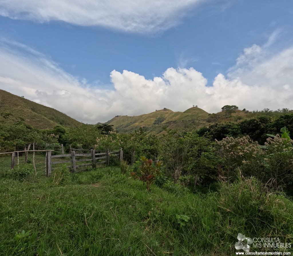 Vendo Finca en el Barrio  en Alvarado, Tolima de Colombia | Consulta Mis Inmuebles S.A.S. | Tu nuevo comienzo empieza hoy!